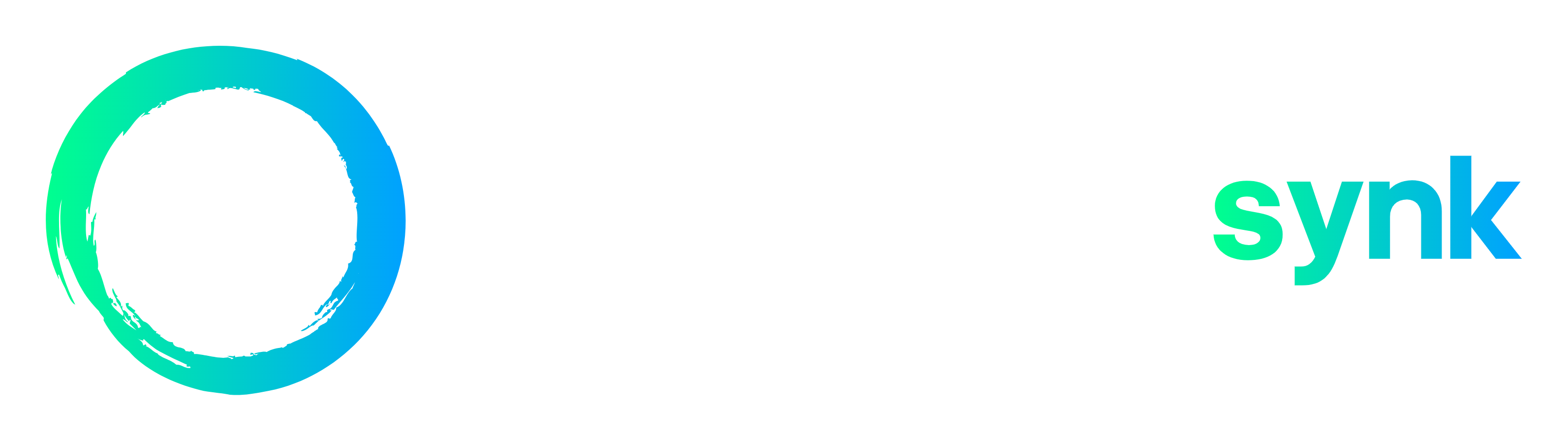 Project Synk